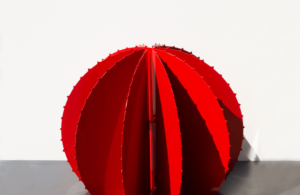Cactus Boule – Image 3
