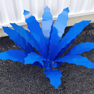 Aloe Vera – Image 4
