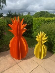Ananas – Image 4