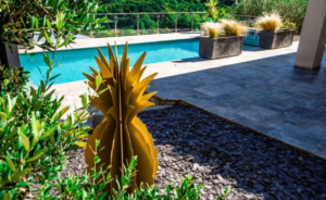 Ananas – Image 2