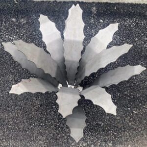 Aloe Vera – Image 3