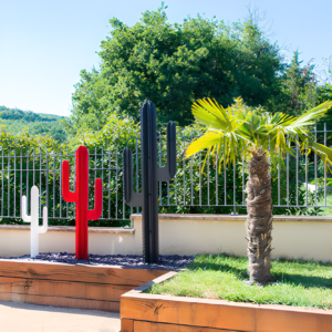 Cactus Grand / Très grand – Image 2