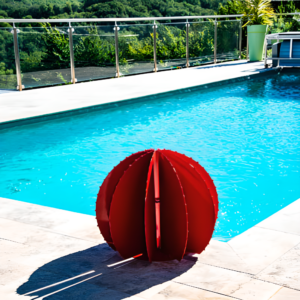 Cactus Boule – Image 4