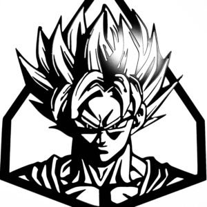 Son goku encadré